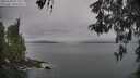 ./images/koeye/fitz-hugh/20260508/fitz-hugh20260508_073001M.jpg