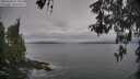 ./images/koeye/fitz-hugh/20260508/fitz-hugh20260508_075001M.jpg
