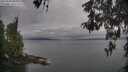 ./images/koeye/fitz-hugh/20260508/fitz-hugh20260508_081002M.jpg