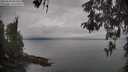 ./images/koeye/fitz-hugh/20260508/fitz-hugh20260508_084501M.jpg