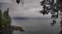 ./images/koeye/fitz-hugh/20260508/fitz-hugh20260508_085001M.jpg