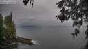 ./images/koeye/fitz-hugh/20260508/fitz-hugh20260508_085501M.jpg