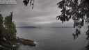 ./images/koeye/fitz-hugh/20260508/fitz-hugh20260508_091501M.jpg