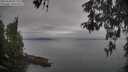 ./images/koeye/fitz-hugh/20260508/fitz-hugh20260508_092001M.jpg