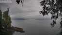 ./images/koeye/fitz-hugh/20260508/fitz-hugh20260508_093001M.jpg