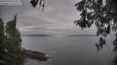 ./images/koeye/fitz-hugh/20260508/fitz-hugh20260508_094001M.jpg