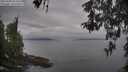 ./images/koeye/fitz-hugh/20260508/fitz-hugh20260508_094501M.jpg