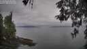 ./images/koeye/fitz-hugh/20260508/fitz-hugh20260508_095001M.jpg