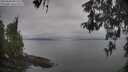 ./images/koeye/fitz-hugh/20260508/fitz-hugh20260508_095501M.jpg