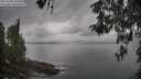 ./images/koeye/fitz-hugh/20260508/fitz-hugh20260508_103001M.jpg