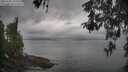 ./images/koeye/fitz-hugh/20260508/fitz-hugh20260508_103501M.jpg