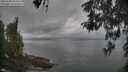 ./images/koeye/fitz-hugh/20260508/fitz-hugh20260508_104501M.jpg