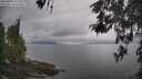 ./images/koeye/fitz-hugh/20260508/fitz-hugh20260508_111502M.jpg
