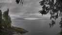 ./images/koeye/fitz-hugh/20260508/fitz-hugh20260508_112502M.jpg