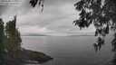 ./images/koeye/fitz-hugh/20260508/fitz-hugh20260508_114001M.jpg