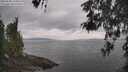 ./images/koeye/fitz-hugh/20260508/fitz-hugh20260508_124502M.jpg