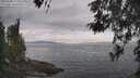 ./images/koeye/fitz-hugh/20260508/fitz-hugh20260508_125002M.jpg