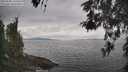 ./images/koeye/fitz-hugh/20260508/fitz-hugh20260508_125501M.jpg