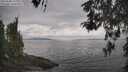 ./images/koeye/fitz-hugh/20260508/fitz-hugh20260508_130001M.jpg