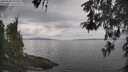 ./images/koeye/fitz-hugh/20260508/fitz-hugh20260508_133502M.jpg