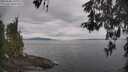 ./images/koeye/fitz-hugh/20260508/fitz-hugh20260508_135002M.jpg