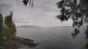 ./images/koeye/fitz-hugh/20260508/fitz-hugh20260508_140501M.jpg