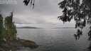 ./images/koeye/fitz-hugh/20260508/fitz-hugh20260508_141501M.jpg