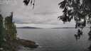 ./images/koeye/fitz-hugh/20260508/fitz-hugh20260508_142502M.jpg