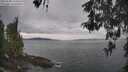 ./images/koeye/fitz-hugh/20260508/fitz-hugh20260508_143501M.jpg