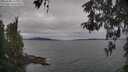 ./images/koeye/fitz-hugh/20260508/fitz-hugh20260508_165002M.jpg