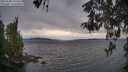 ./images/koeye/fitz-hugh/20260508/fitz-hugh20260508_193502M.jpg