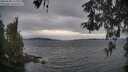 ./images/koeye/fitz-hugh/20260508/fitz-hugh20260508_194001M.jpg