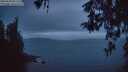 ./images/koeye/fitz-hugh/20260509/fitz-hugh20260509_051501M.jpg
