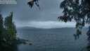 ./images/koeye/fitz-hugh/20260509/fitz-hugh20260509_054501M.jpg