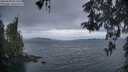 ./images/koeye/fitz-hugh/20260509/fitz-hugh20260509_055501M.jpg