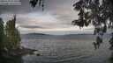 ./images/koeye/fitz-hugh/20260509/fitz-hugh20260509_074501M.jpg