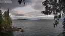 ./images/koeye/fitz-hugh/20260509/fitz-hugh20260509_075502M.jpg