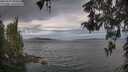 ./images/koeye/fitz-hugh/20260509/fitz-hugh20260509_080501M.jpg