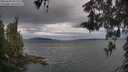 ./images/koeye/fitz-hugh/20260509/fitz-hugh20260509_084001M.jpg