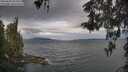 ./images/koeye/fitz-hugh/20260509/fitz-hugh20260509_084502M.jpg