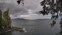 ./images/koeye/fitz-hugh/20260509/fitz-hugh20260509_091002M.jpg