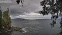 ./images/koeye/fitz-hugh/20260509/fitz-hugh20260509_091501M.jpg