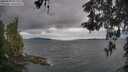 ./images/koeye/fitz-hugh/20260509/fitz-hugh20260509_092002M.jpg