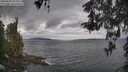 ./images/koeye/fitz-hugh/20260509/fitz-hugh20260509_094001M.jpg