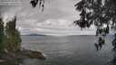 ./images/koeye/fitz-hugh/20260509/fitz-hugh20260509_095002M.jpg