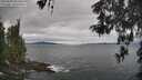 ./images/koeye/fitz-hugh/20260509/fitz-hugh20260509_095501M.jpg