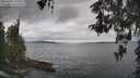 ./images/koeye/fitz-hugh/20260509/fitz-hugh20260509_101001M.jpg