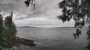 ./images/koeye/fitz-hugh/20260509/fitz-hugh20260509_101502M.jpg