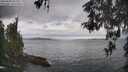 ./images/koeye/fitz-hugh/20260509/fitz-hugh20260509_102002M.jpg