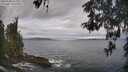 ./images/koeye/fitz-hugh/20260509/fitz-hugh20260509_103002M.jpg